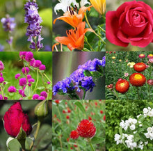 Load image into Gallery viewer, MOM all design resin keychain